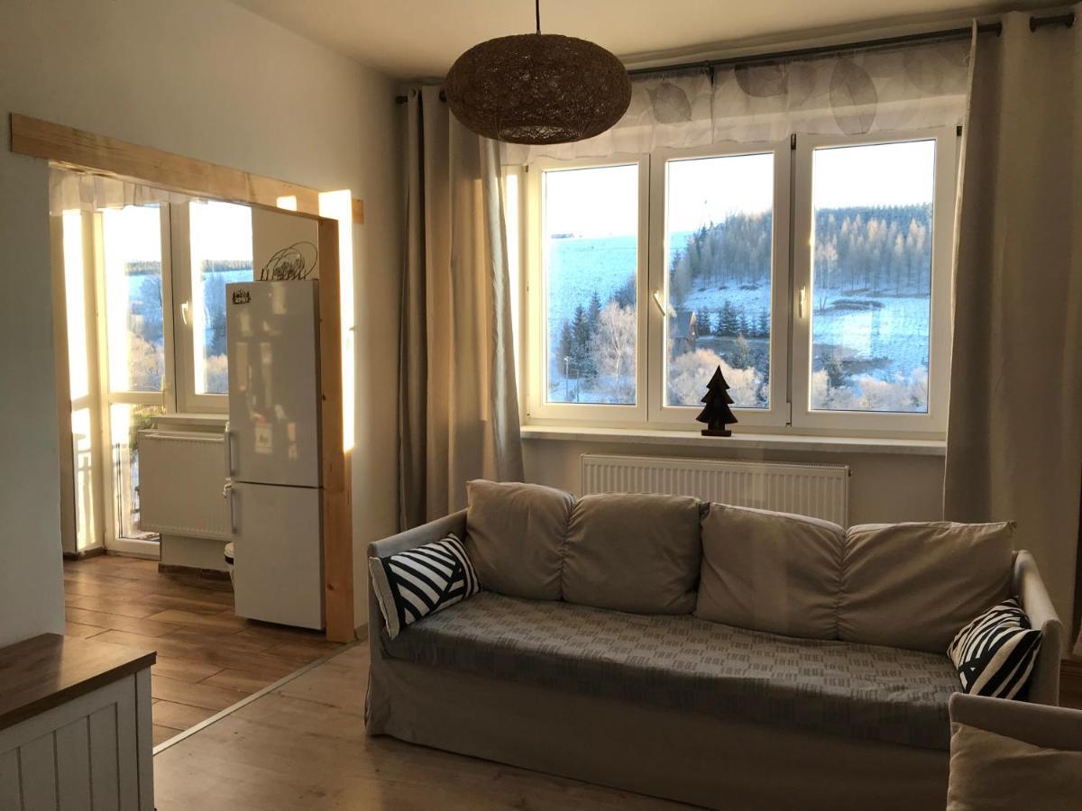 Apartman Orlicke Zahori Exterior photo