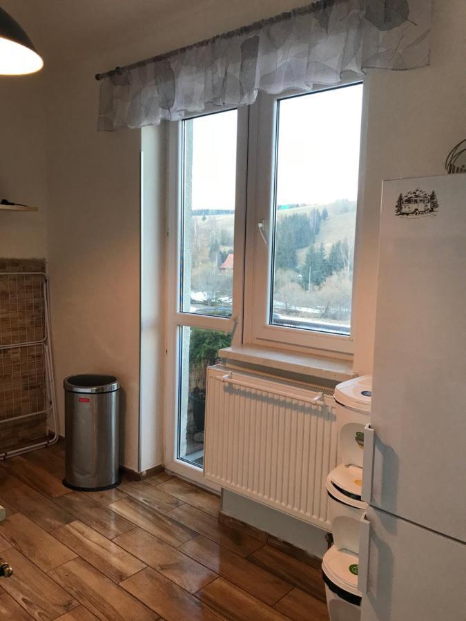 Apartman Orlicke Zahori Exterior photo