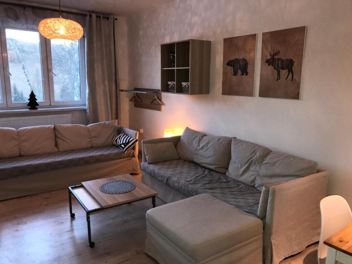 Apartman Orlicke Zahori Exterior photo